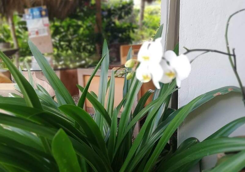 펜션 Residencia El Balata