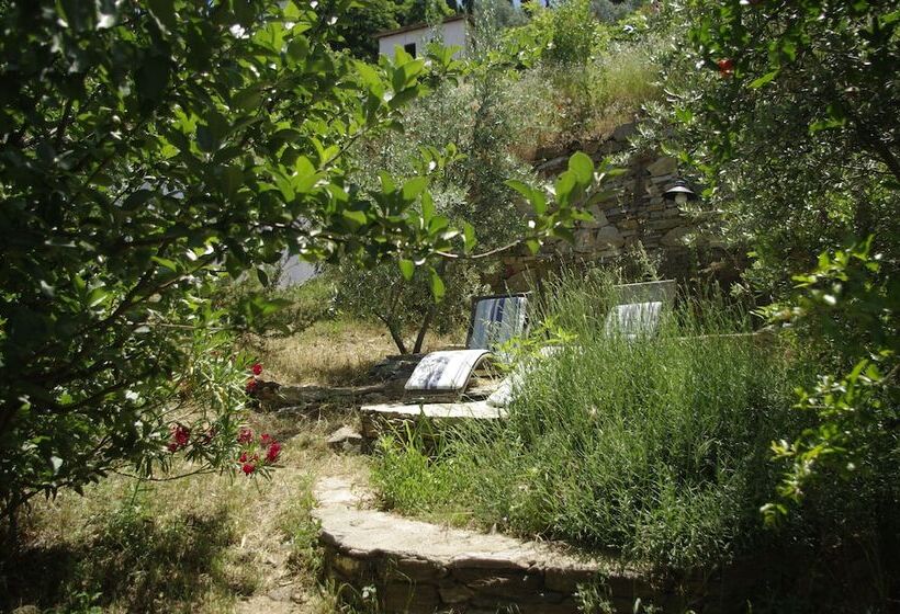 펜션 Terrace Houses Sirince   Fig, Olive Clockmakers And Grapevine