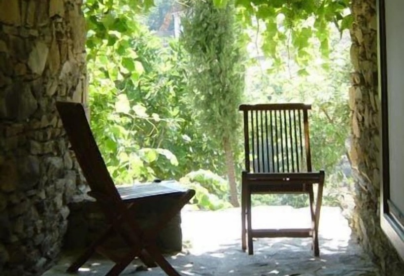 펜션 Terrace Houses Sirince   Fig, Olive Clockmakers And Grapevine