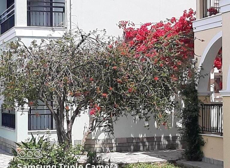Zefiros Apartments