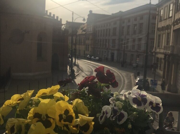 הוסטל Krakow Apartments & Rooms