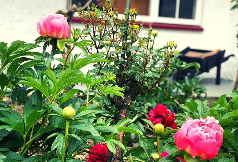 Asure Surrey Court Motel Invercargill