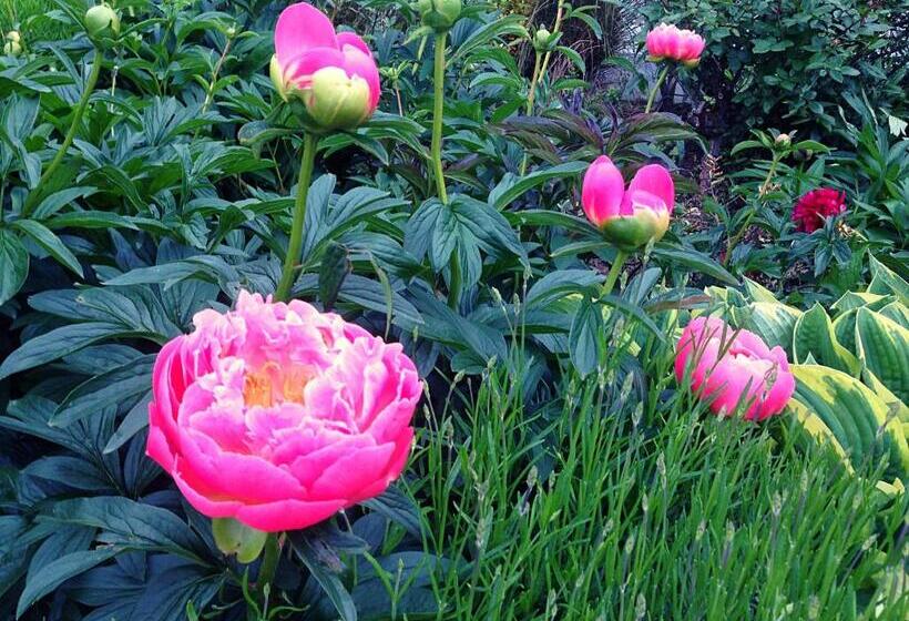 Asure Surrey Court Motel Invercargill