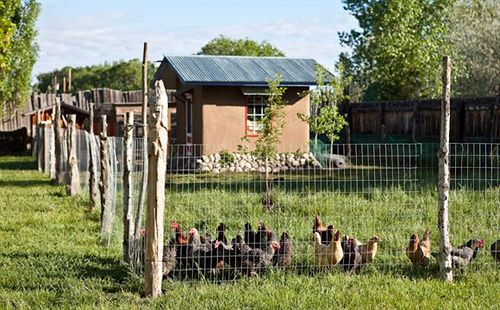 住宿加早餐  Casa Gallina   An Artisan Inn