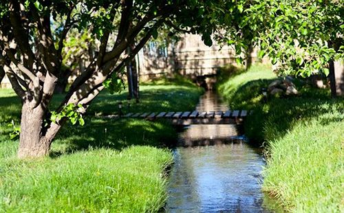 住宿加早餐  Casa Gallina   An Artisan Inn