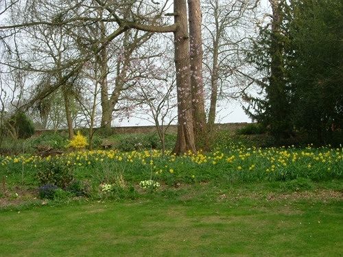 Bed and Breakfast Tachbrook Mallory House