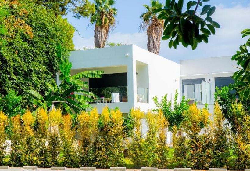 Bluesea Dimona Suites