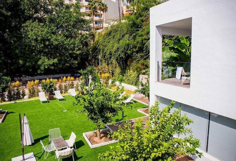 Bluesea Dimona Suites