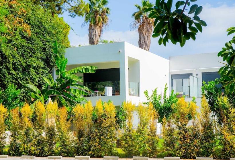 Bluesea Dimona Suites