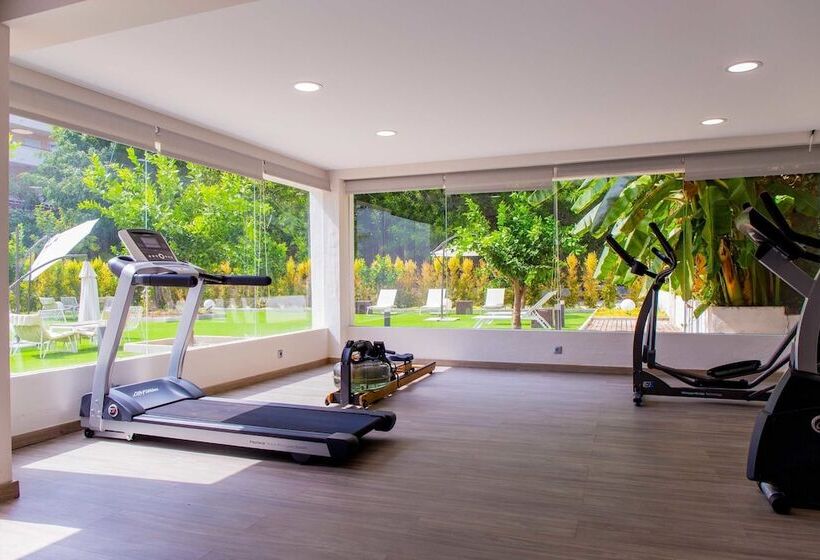 Bluesea Dimona Suites