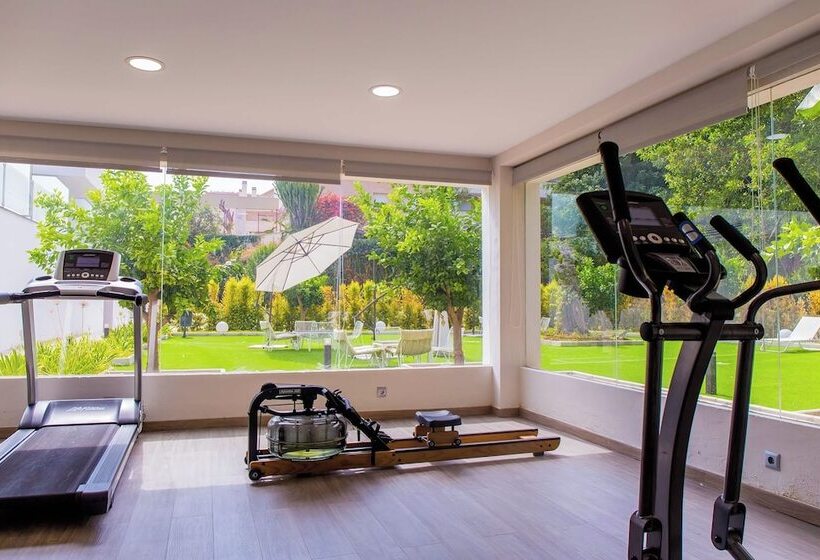 Bluesea Dimona Suites