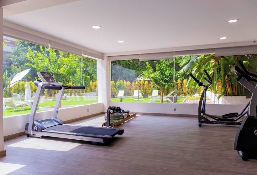 Bluesea Dimona Suites