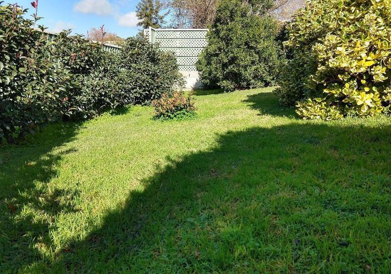 Goldrush Motel Young Cbd