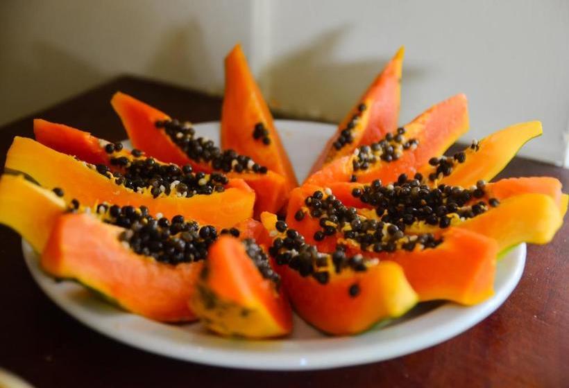 مسافرخانه Pousada ébano