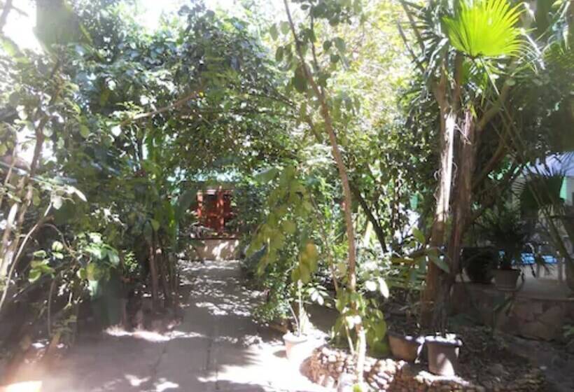 여관 Pousada Coqueiro Do Caitá