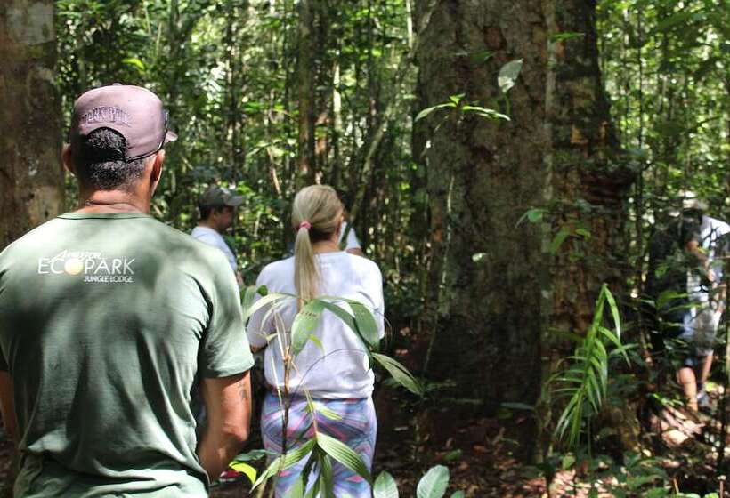 בית מלון כפרי Amazon Ecopark Jungle Lodge