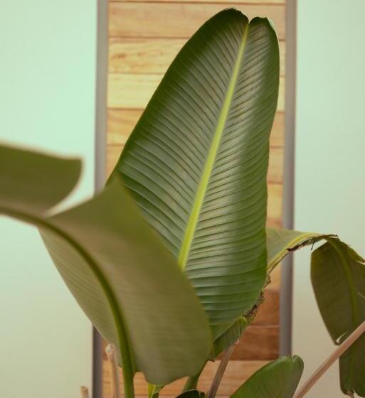 호텔 Anthemion Suites And Villas