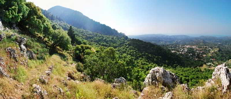 בית מלון כפרי Elafos