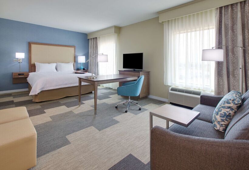酒店 Hampton Inn Snyder Tx