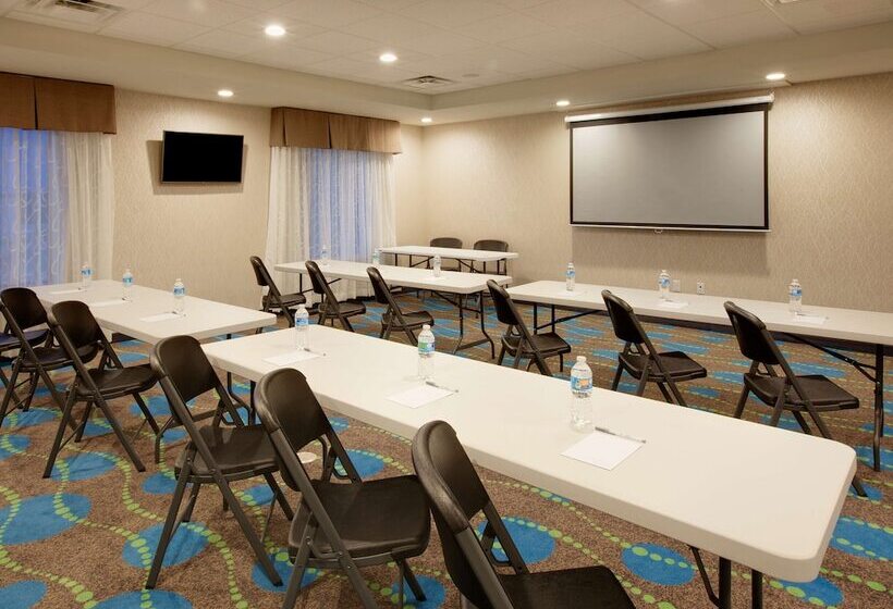 酒店 Hampton Inn Snyder Tx