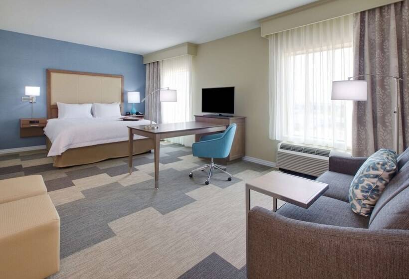 酒店 Hampton Inn Snyder Tx