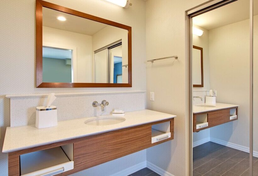 酒店 Hampton Inn Snyder Tx