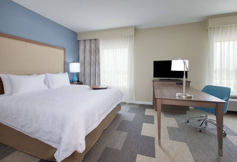 酒店 Hampton Inn Snyder Tx