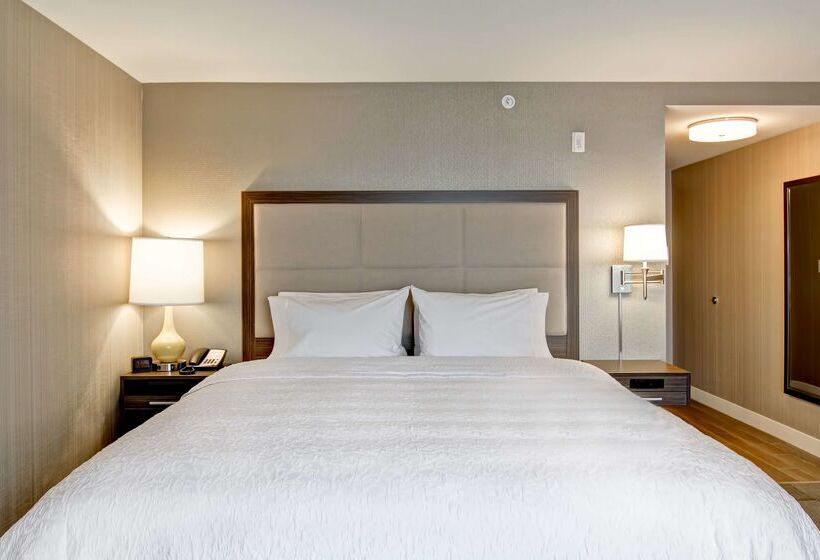 ホテル Hampton Inn & Suites By Hilton Saskatoon Airport