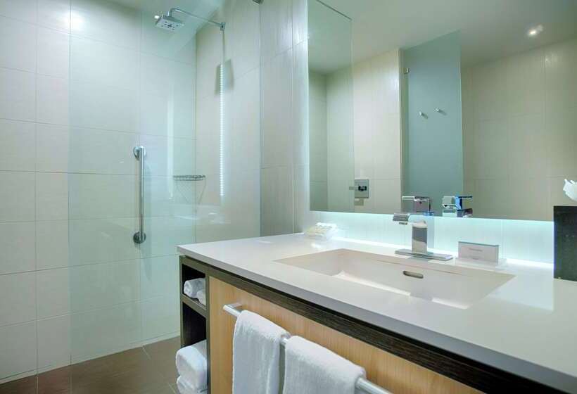 酒店 Hilton Garden Inn San Jose La Sabana