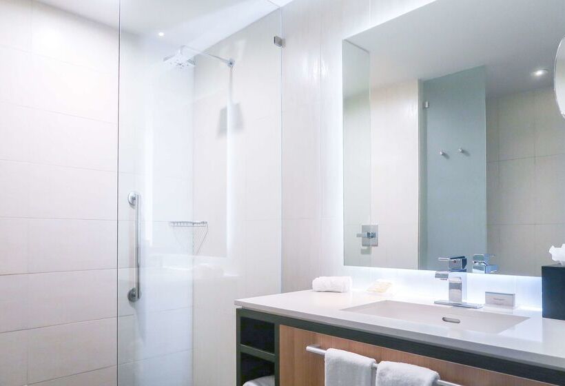 酒店 Hilton Garden Inn San Jose La Sabana