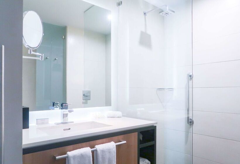 酒店 Hilton Garden Inn San Jose La Sabana