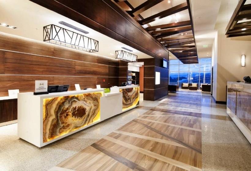 酒店 Hilton Garden Inn San Jose La Sabana