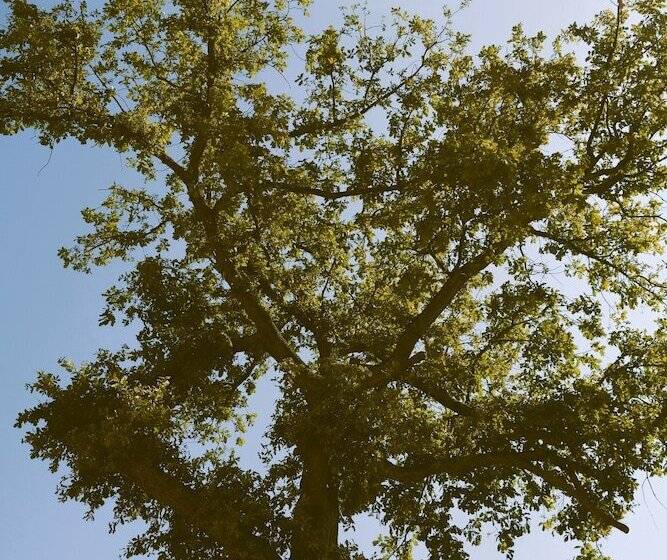 Отель Hostellerie Du Lys