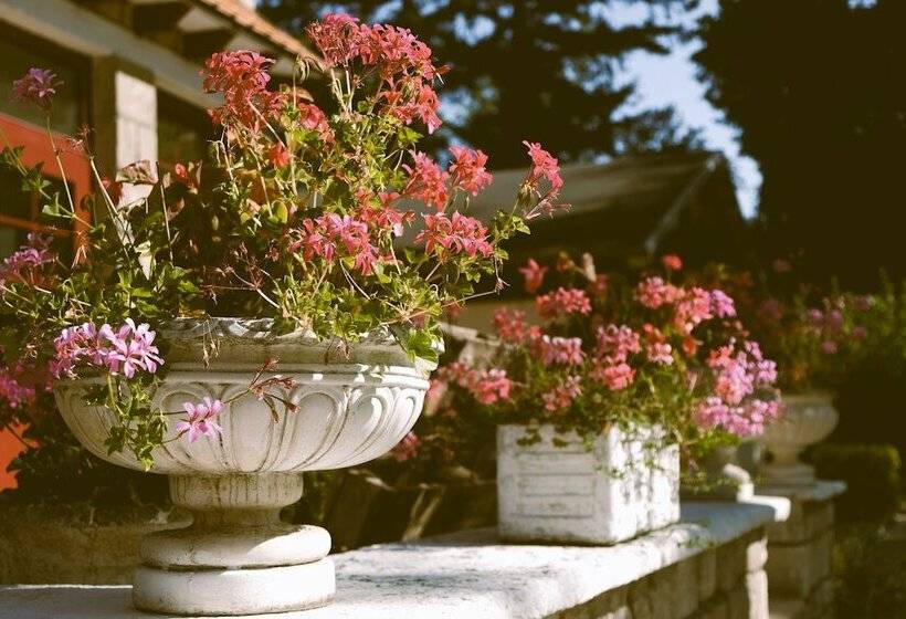 Отель Hostellerie Du Lys