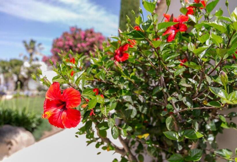 Hotel Hôtel La Caravelle