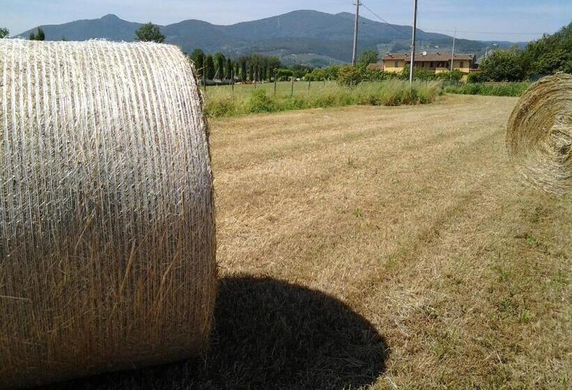 酒店 Il Chiassetto Agriturismo No Kids