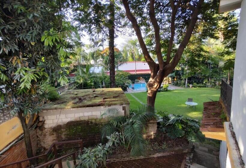 ホテル La Joyita Cuernavaca