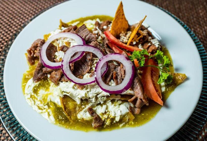 ホテル La Joyita Cuernavaca