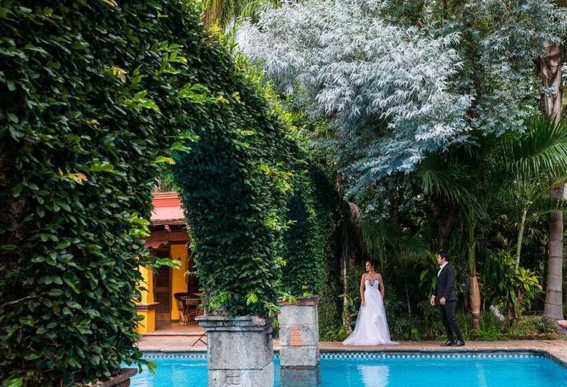 ホテル La Joyita Cuernavaca