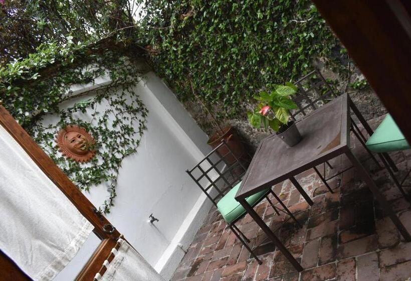 ホテル La Joyita Cuernavaca