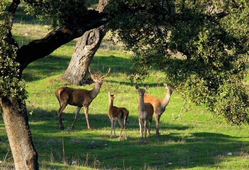 فندق Molino Rio Alajar