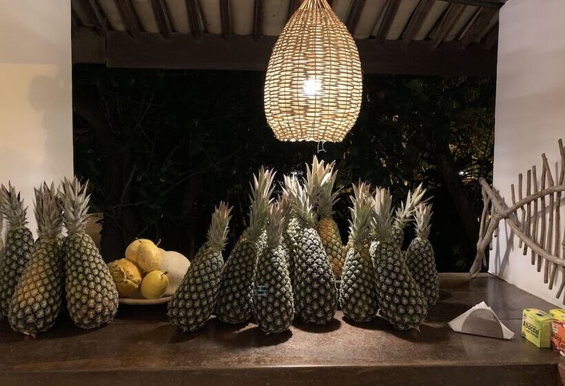 Отель Pousada Tartaruga Boutique