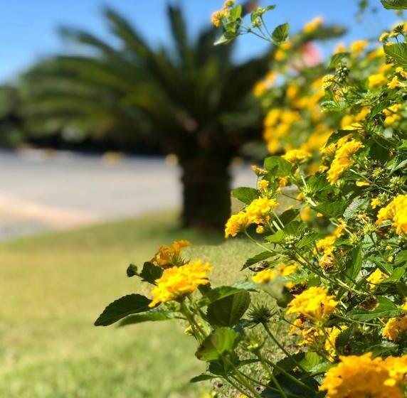 호텔 Reserva Praia