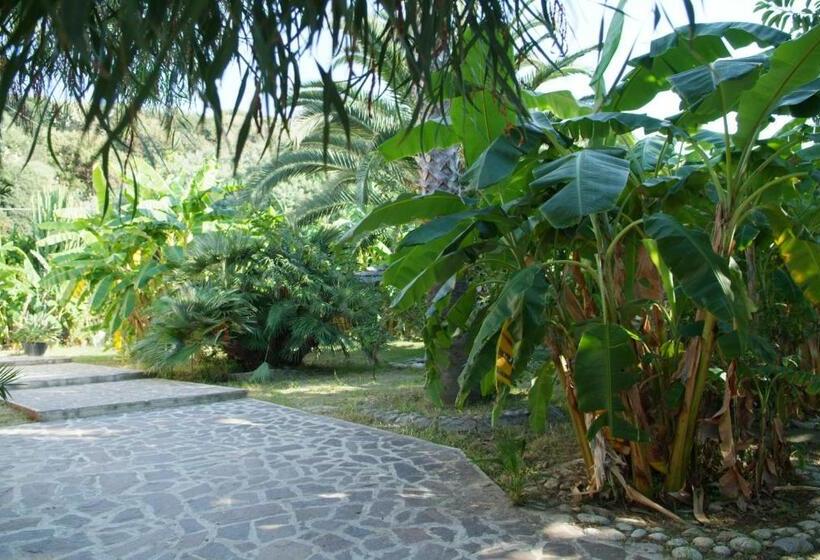 Отель Solemare Club Village