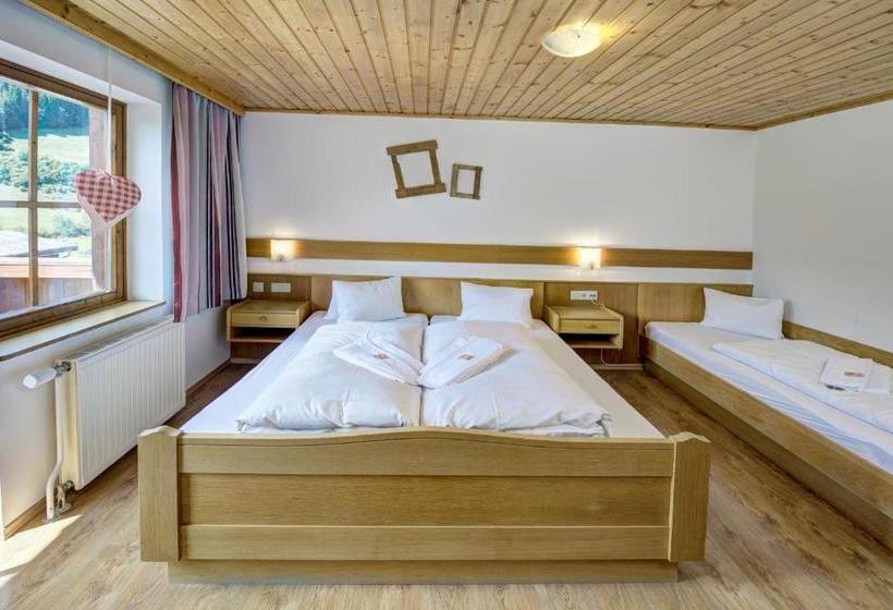 Отель Salzburgerhof