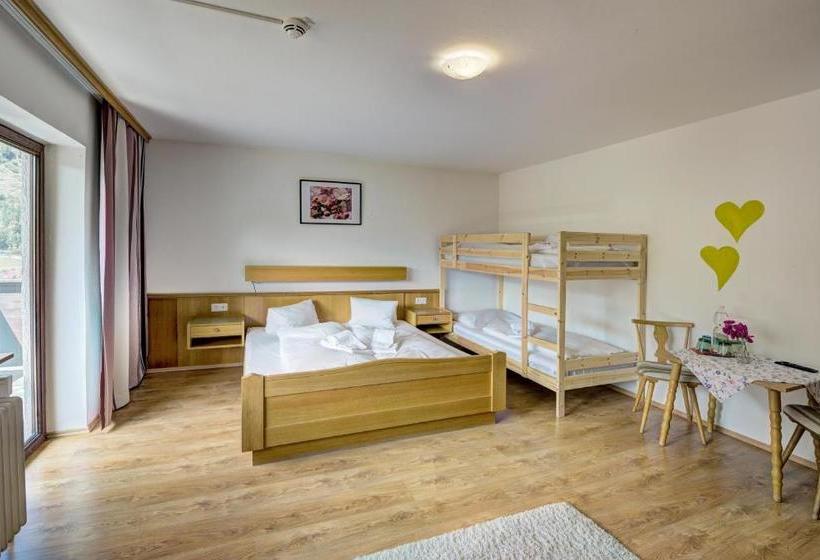 Отель Salzburgerhof