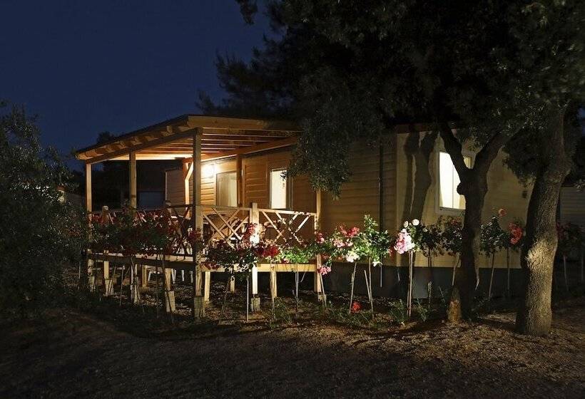 호텔 Amadria Park Camping Sibenik Mobile Homes
