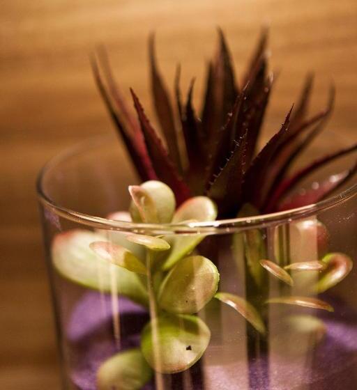 فندق Sotetsu Fresa Inn Chiba Kashiwa