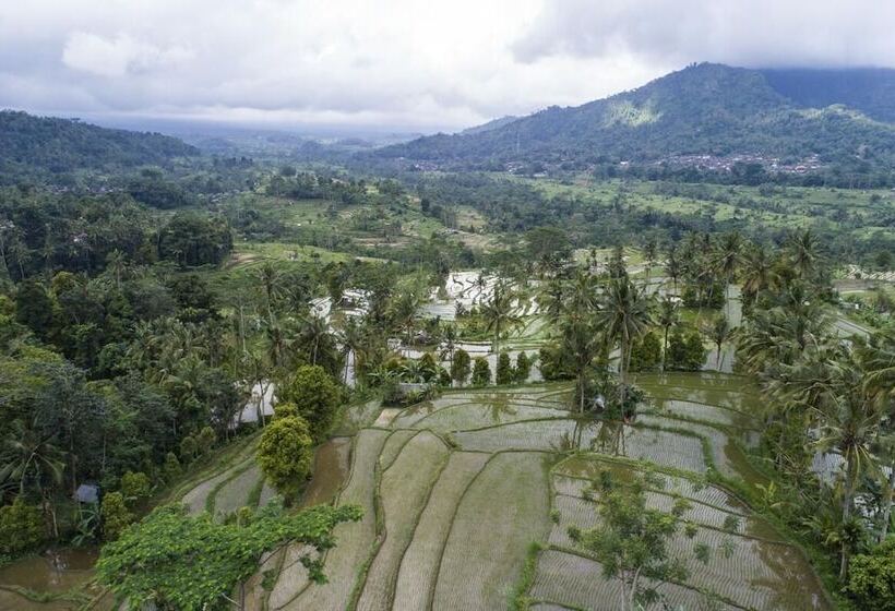 בית מלון כפרי Subak Tabola Villa