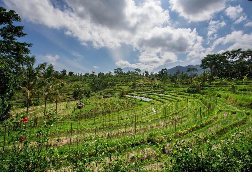 בית מלון כפרי Subak Tabola Villa